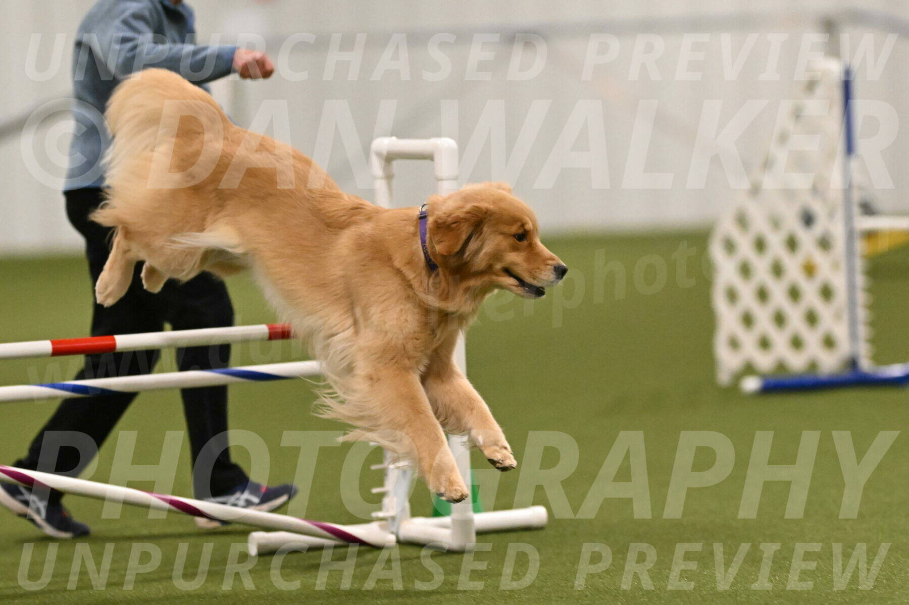 Kelly-Peggy-Abrams-06460