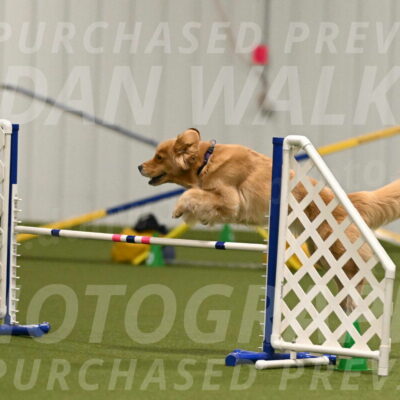 Kelly-Peggy-Abrams-06461