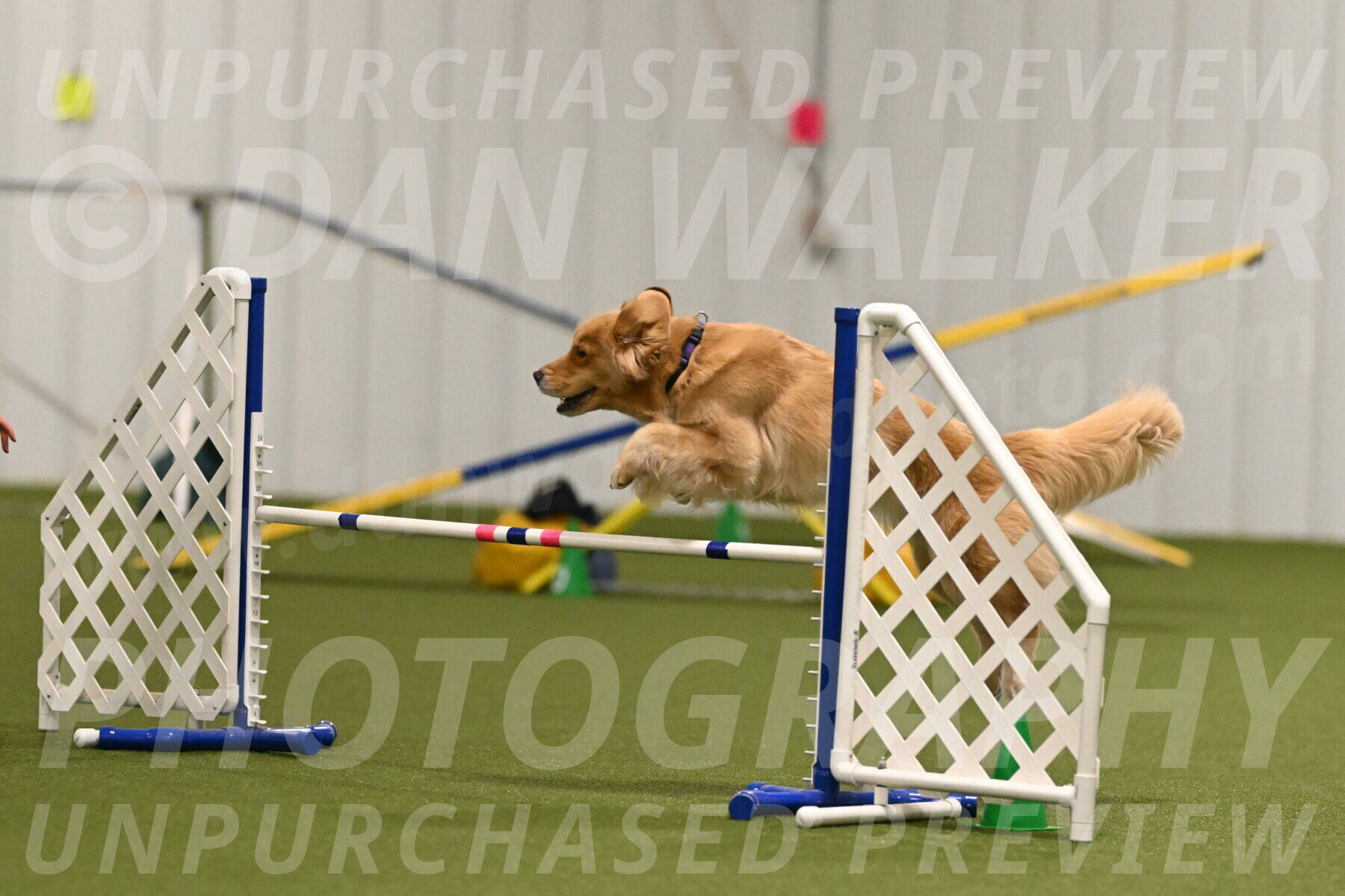 Kelly-Peggy-Abrams-06461