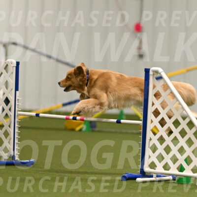 Kelly-Peggy-Abrams-06462