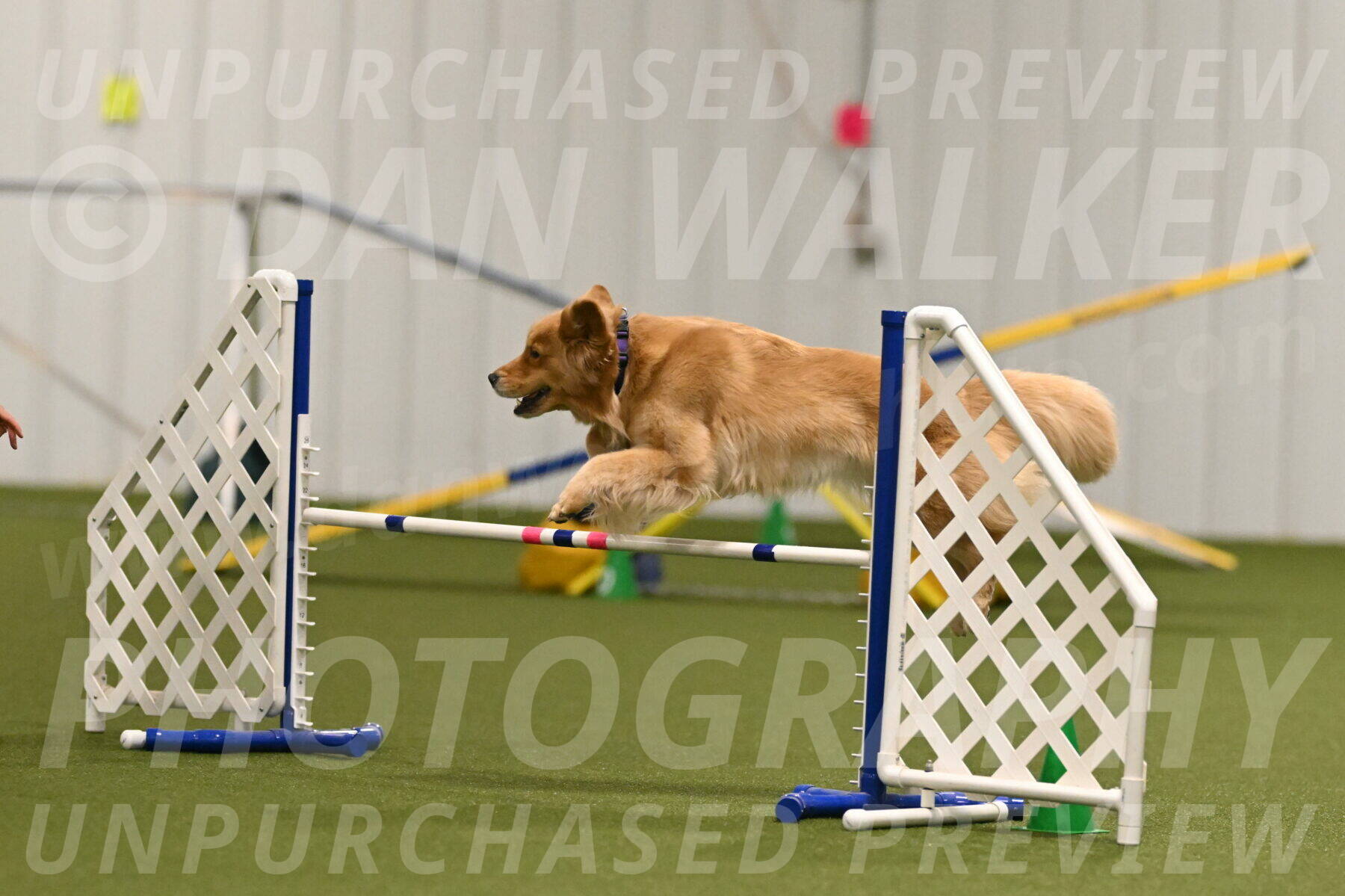 Kelly-Peggy-Abrams-06462