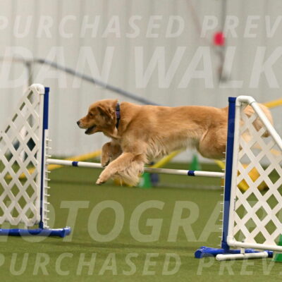 Kelly-Peggy-Abrams-06463