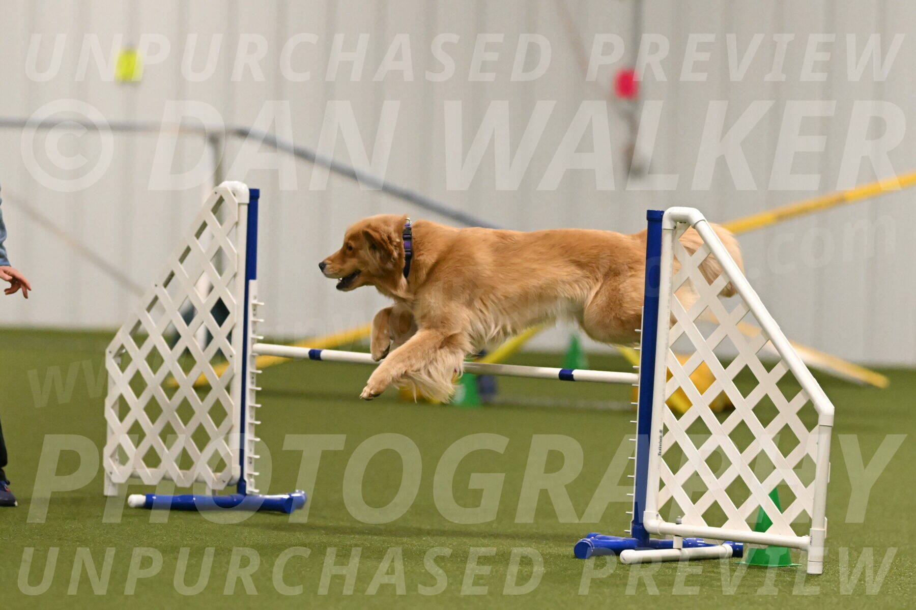 Kelly-Peggy-Abrams-06463