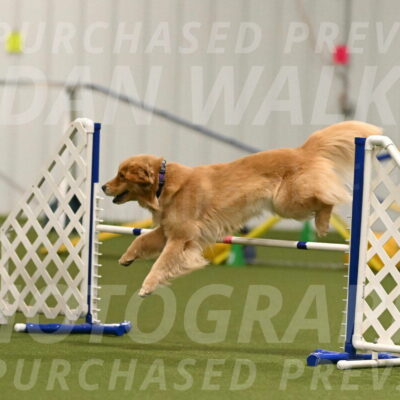 Kelly-Peggy-Abrams-06464