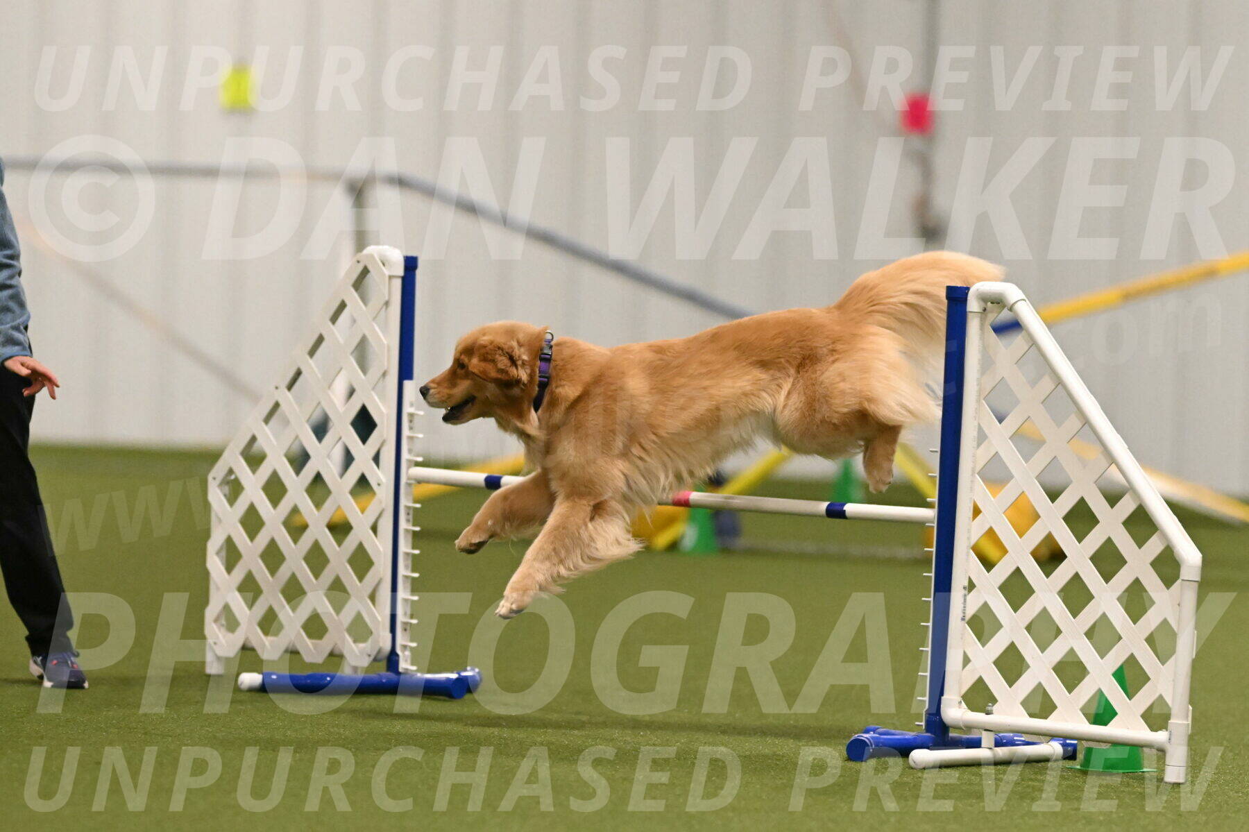 Kelly-Peggy-Abrams-06464