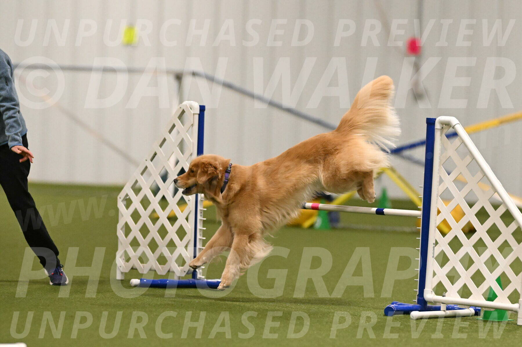 Kelly-Peggy-Abrams-06465