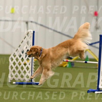 Kelly-Peggy-Abrams-06465