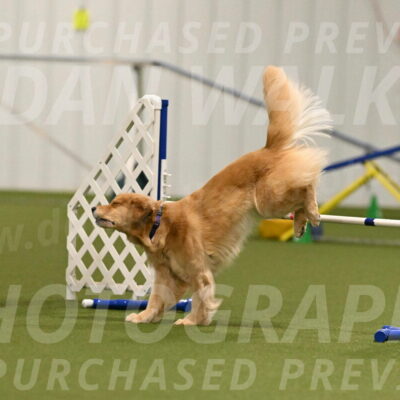 Kelly-Peggy-Abrams-06466