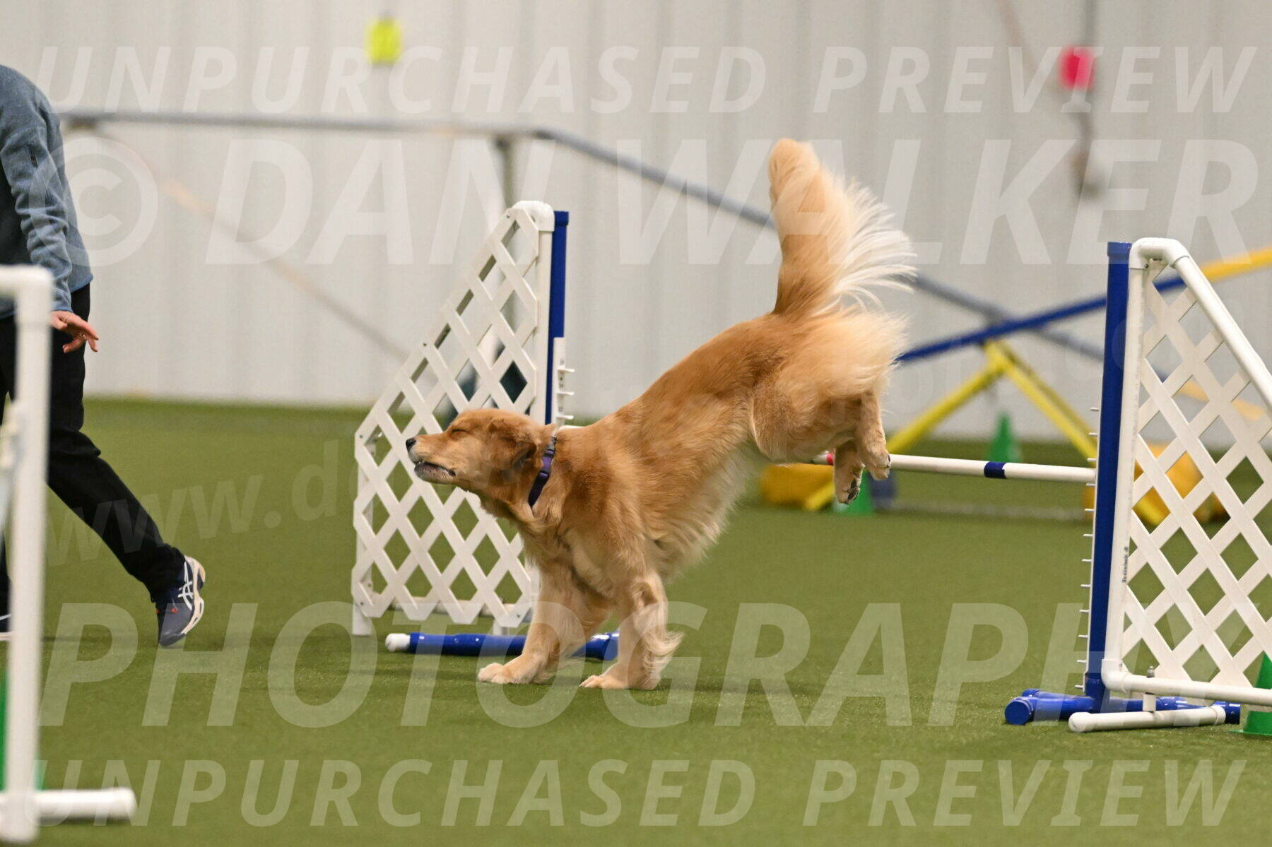 Kelly-Peggy-Abrams-06466