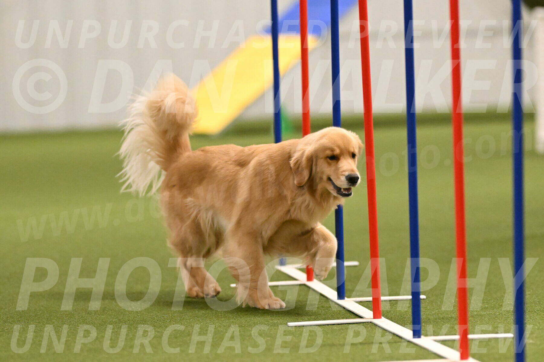 Kelly-Peggy-Abrams-06467