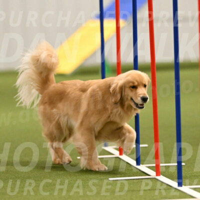 Kelly-Peggy-Abrams-06467