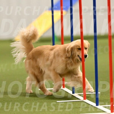 Kelly-Peggy-Abrams-06468