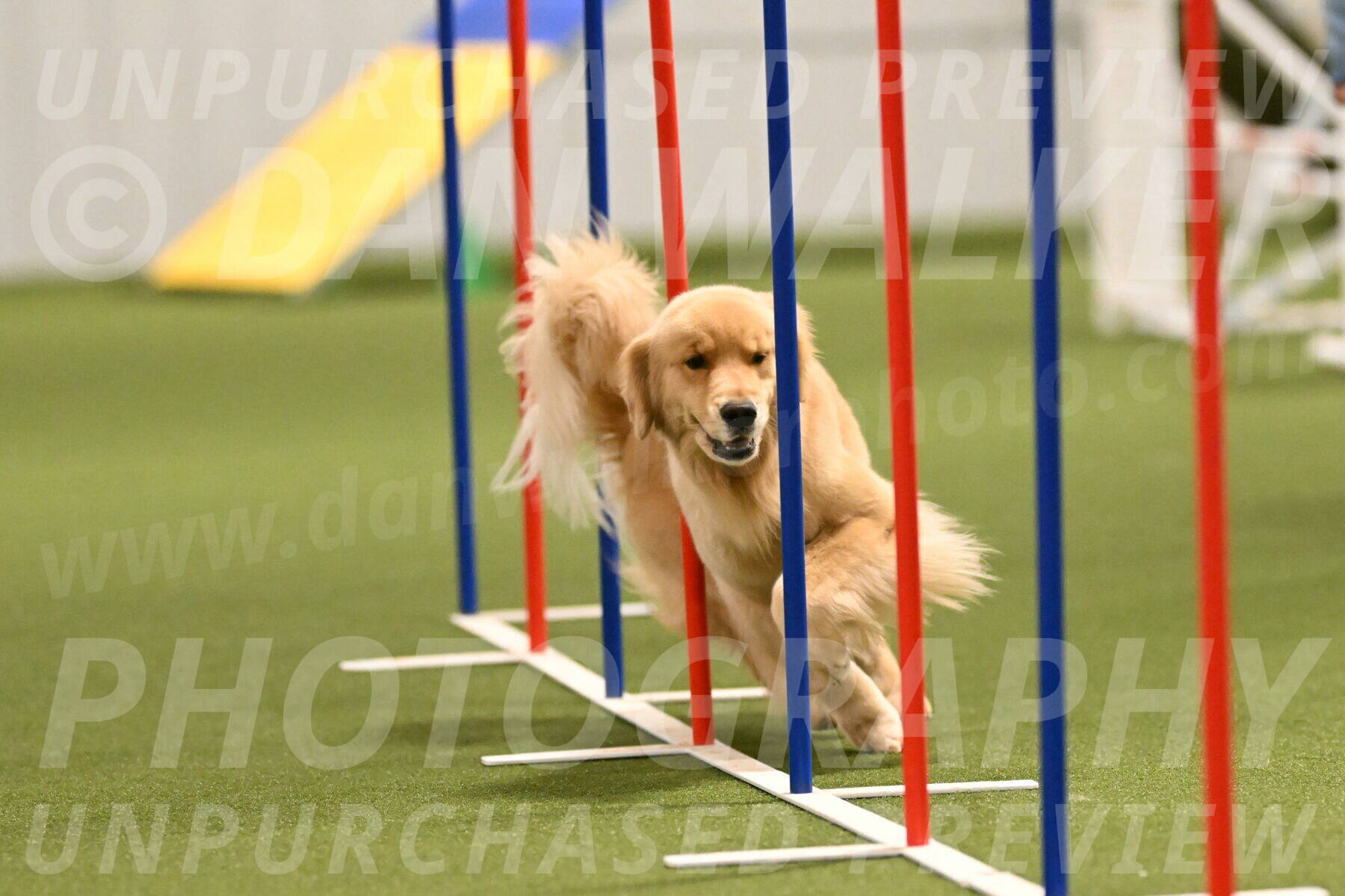 Kelly-Peggy-Abrams-06469