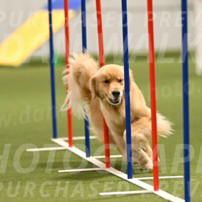 Kelly-Peggy-Abrams-06469