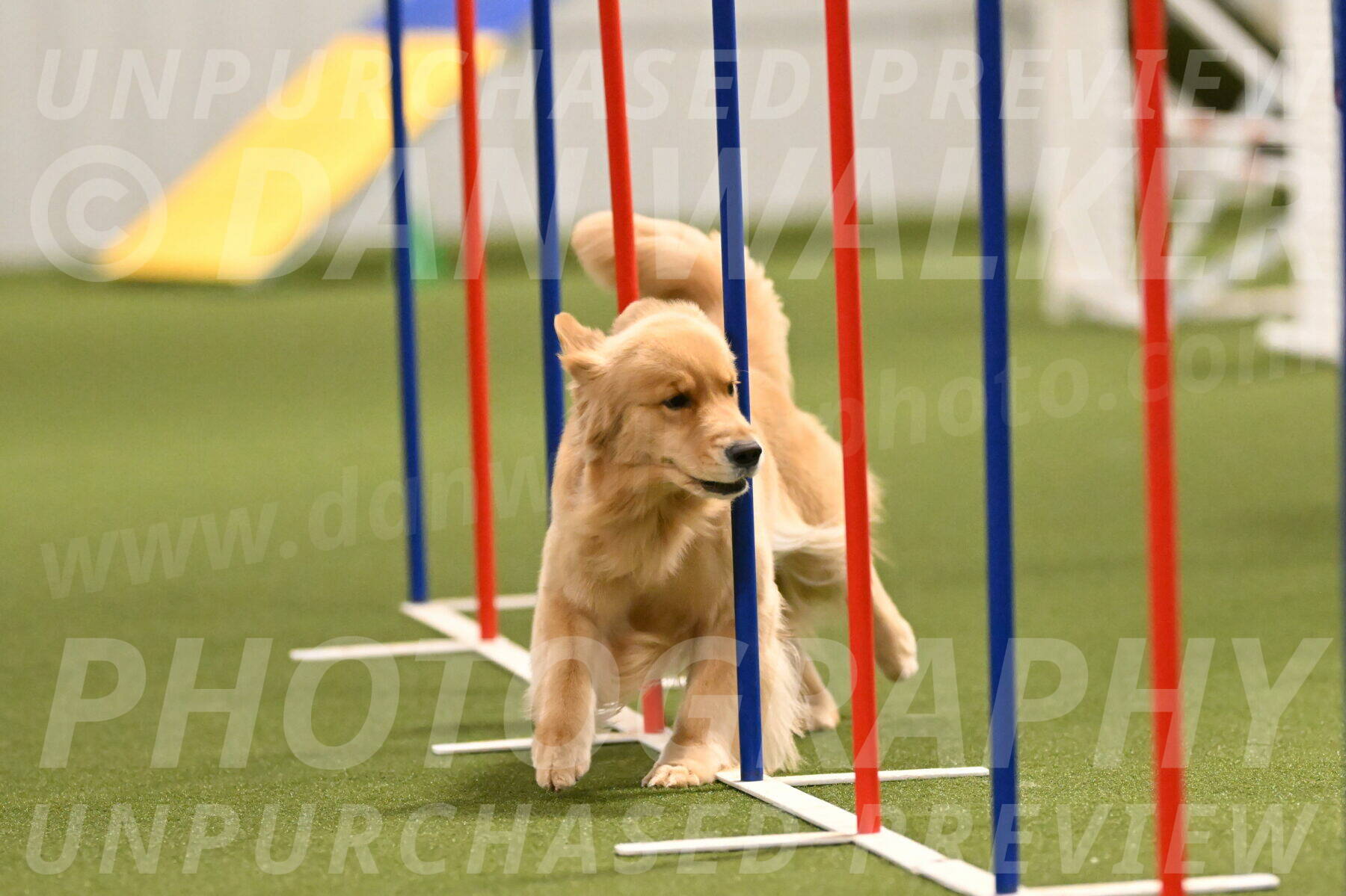 Kelly-Peggy-Abrams-06470