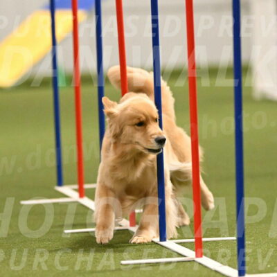 Kelly-Peggy-Abrams-06470