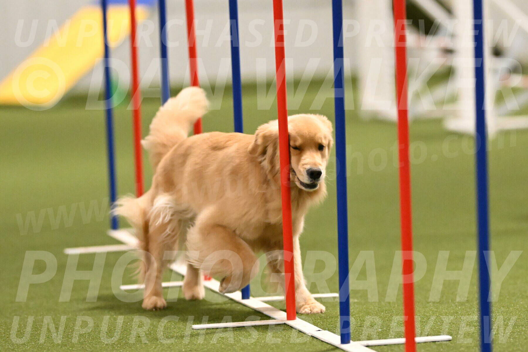 Kelly-Peggy-Abrams-06471