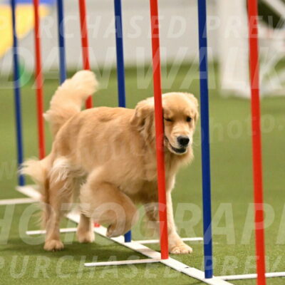 Kelly-Peggy-Abrams-06471