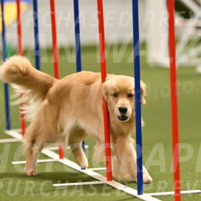 Kelly-Peggy-Abrams-06472