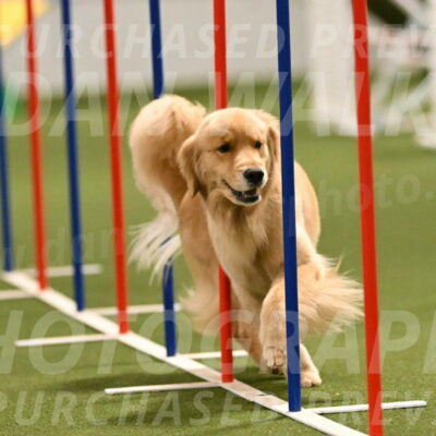 Kelly-Peggy-Abrams-06473