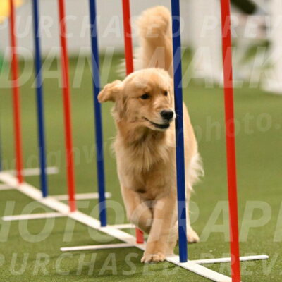 Kelly-Peggy-Abrams-06474