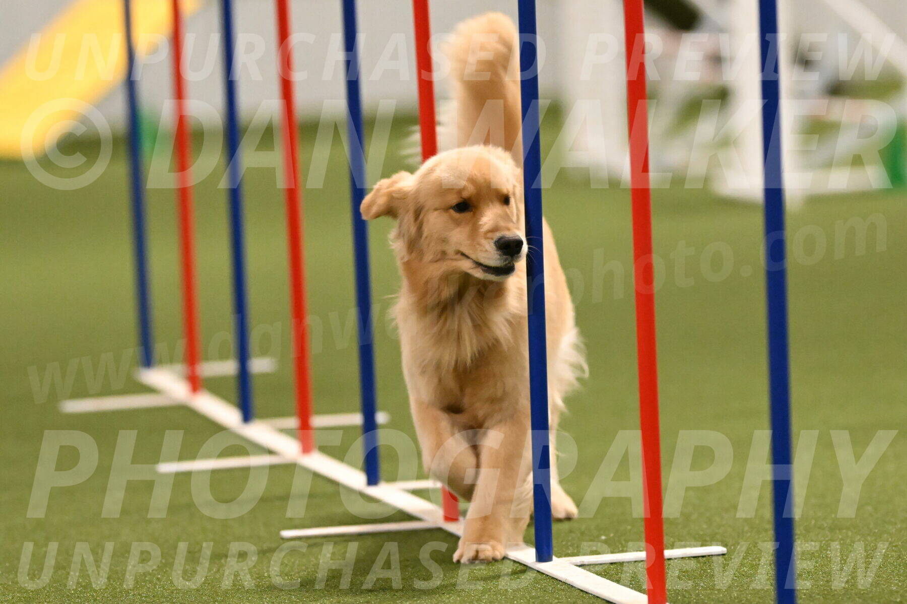 Kelly-Peggy-Abrams-06474