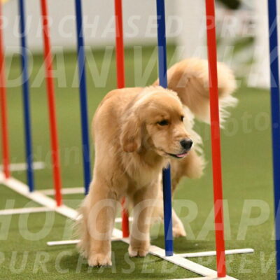 Kelly-Peggy-Abrams-06475