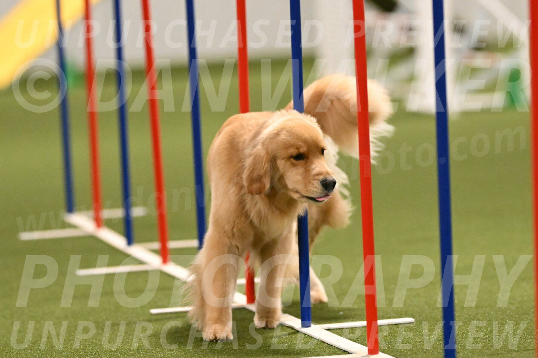 Kelly-Peggy-Abrams-06475