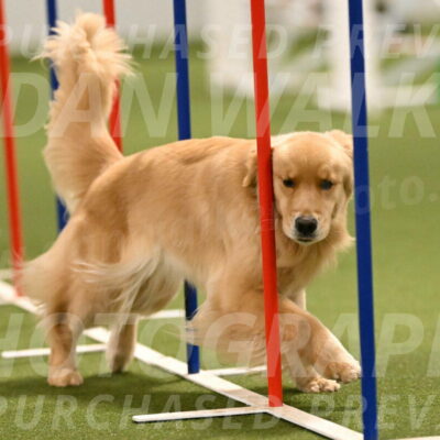 Kelly-Peggy-Abrams-06476