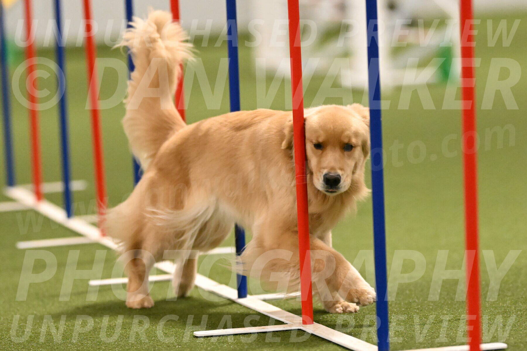 Kelly-Peggy-Abrams-06476