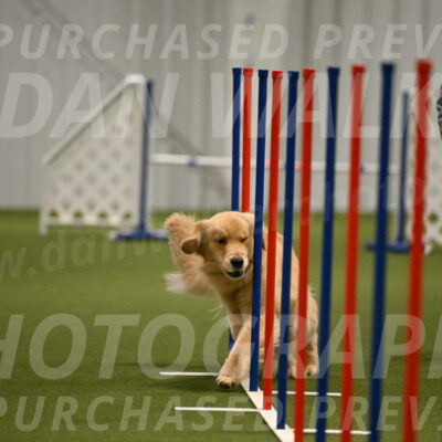 Kelly-Peggy-Abrams-06477