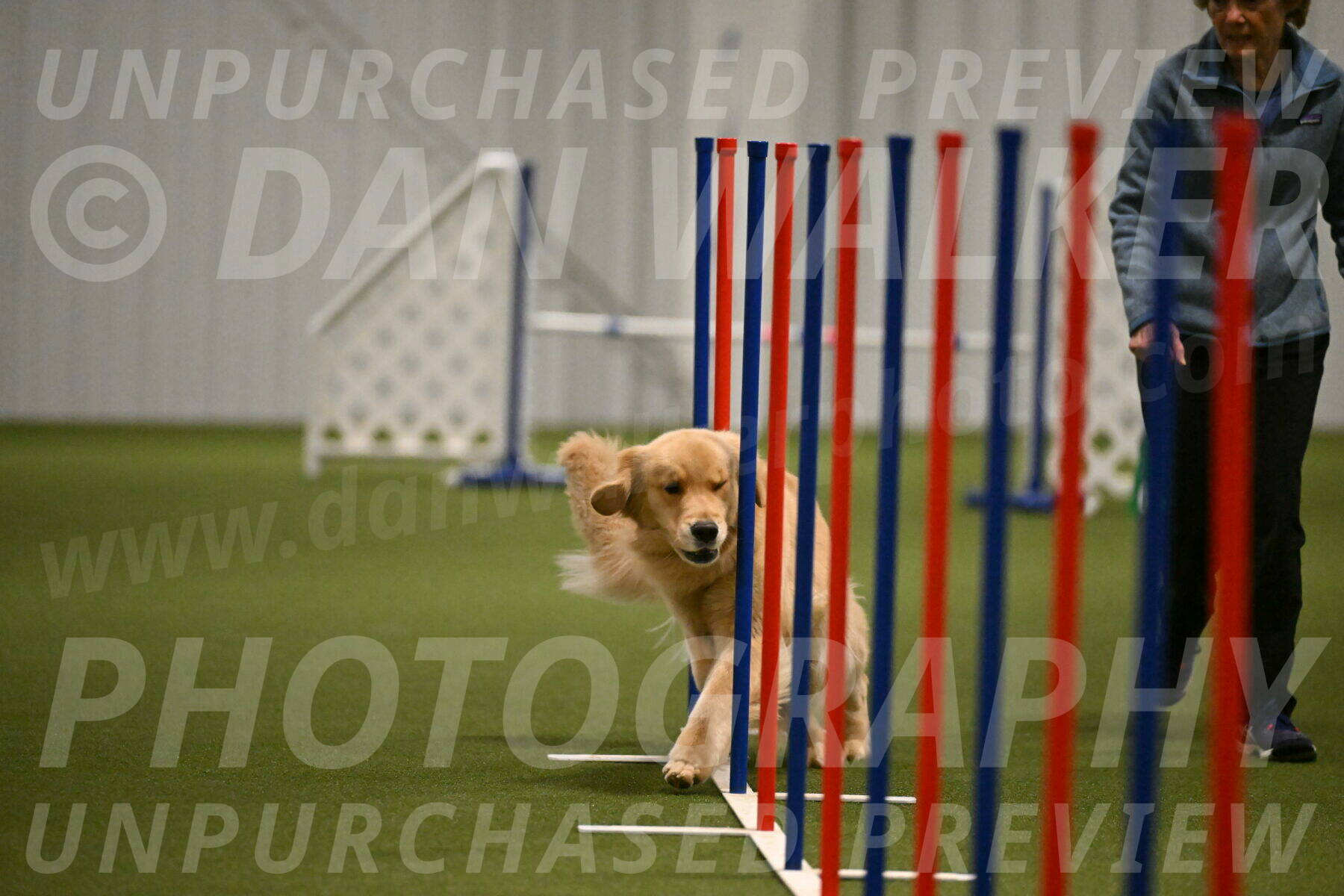 Kelly-Peggy-Abrams-06477