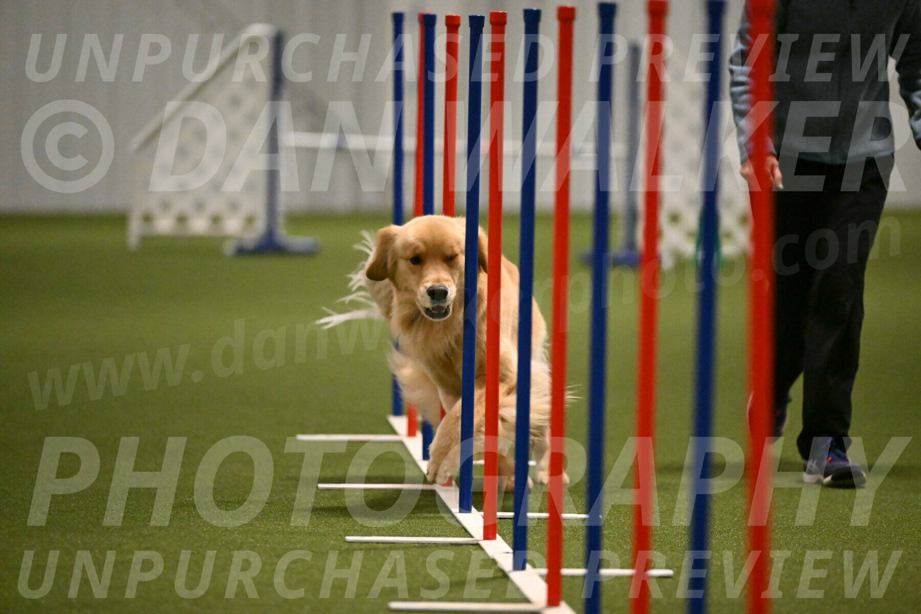 Kelly-Peggy-Abrams-06478