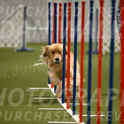 Kelly-Peggy-Abrams-06478