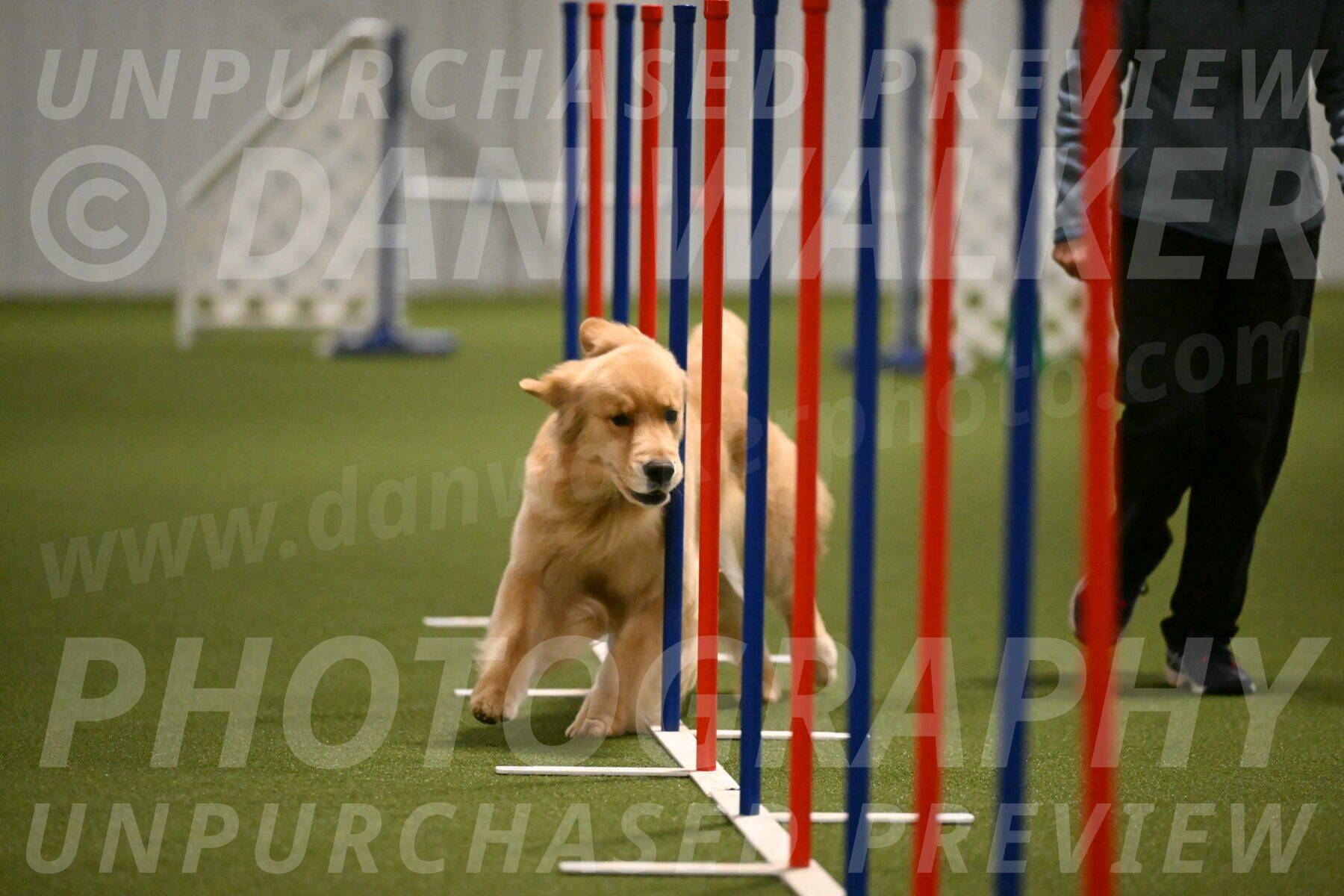 Kelly-Peggy-Abrams-06479