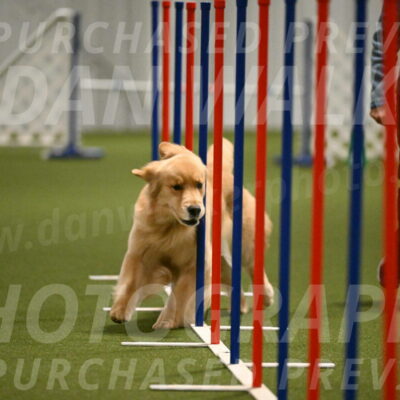 Kelly-Peggy-Abrams-06479