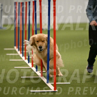 Kelly-Peggy-Abrams-06480