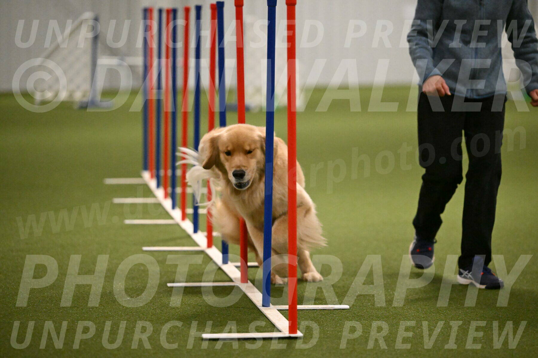 Kelly-Peggy-Abrams-06480