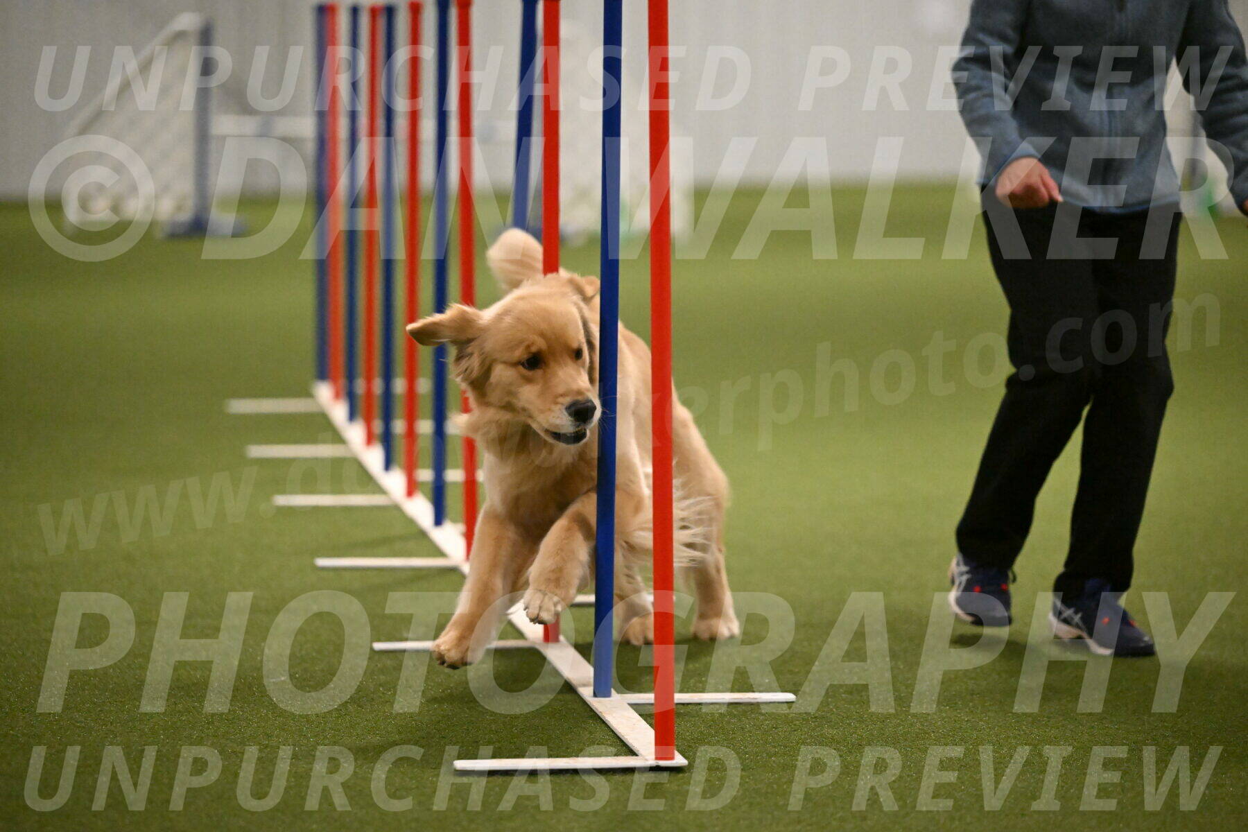 Kelly-Peggy-Abrams-06481