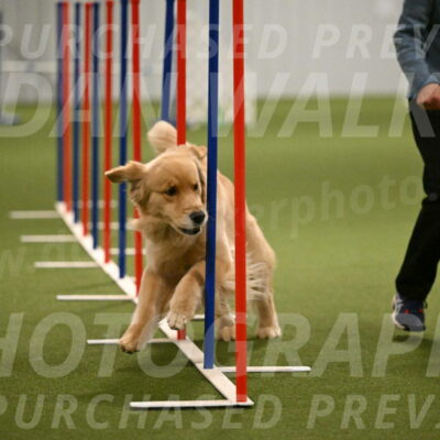 Kelly-Peggy-Abrams-06481