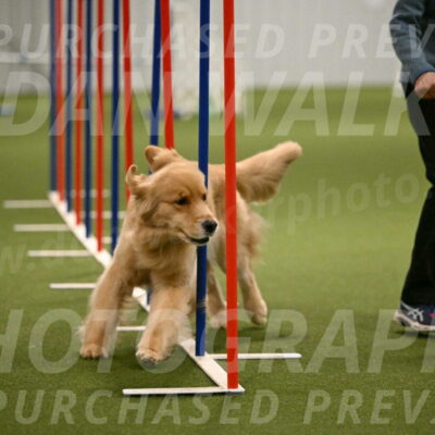 Kelly-Peggy-Abrams-06482