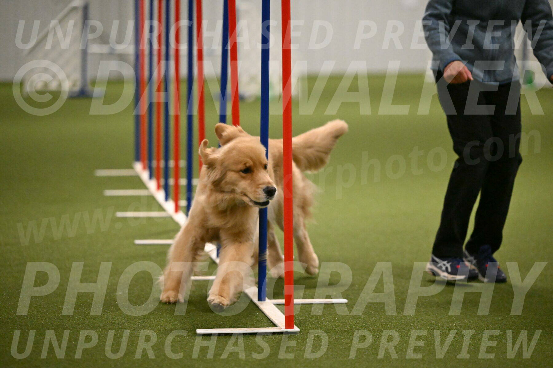 Kelly-Peggy-Abrams-06482