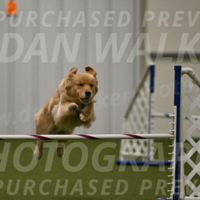 Kelly-Peggy-Abrams-06483