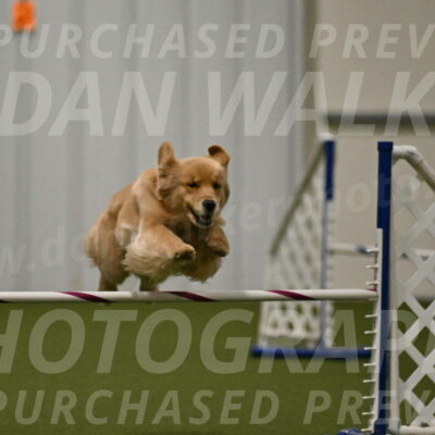 Kelly-Peggy-Abrams-06484