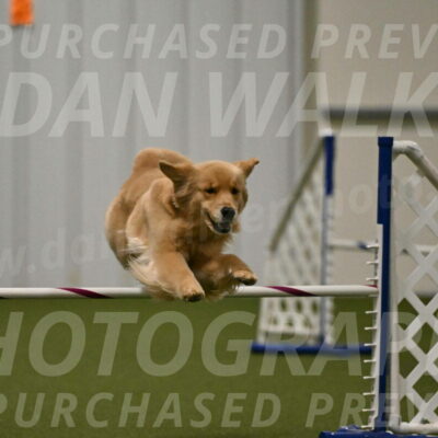 Kelly-Peggy-Abrams-06485