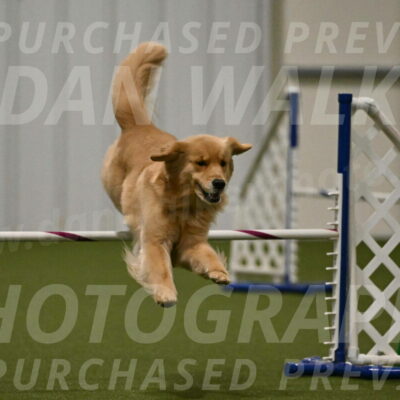 Kelly-Peggy-Abrams-06486