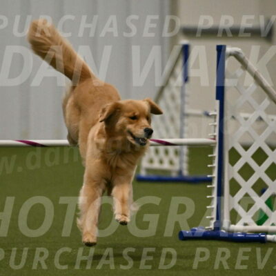 Kelly-Peggy-Abrams-06487