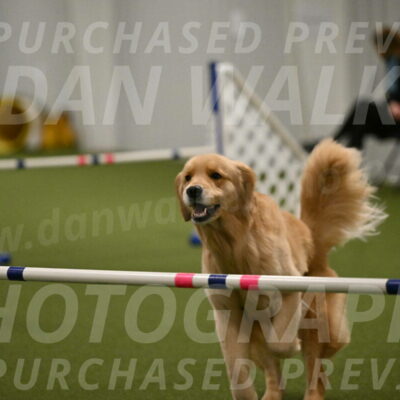 Kelly-Peggy-Abrams-06488