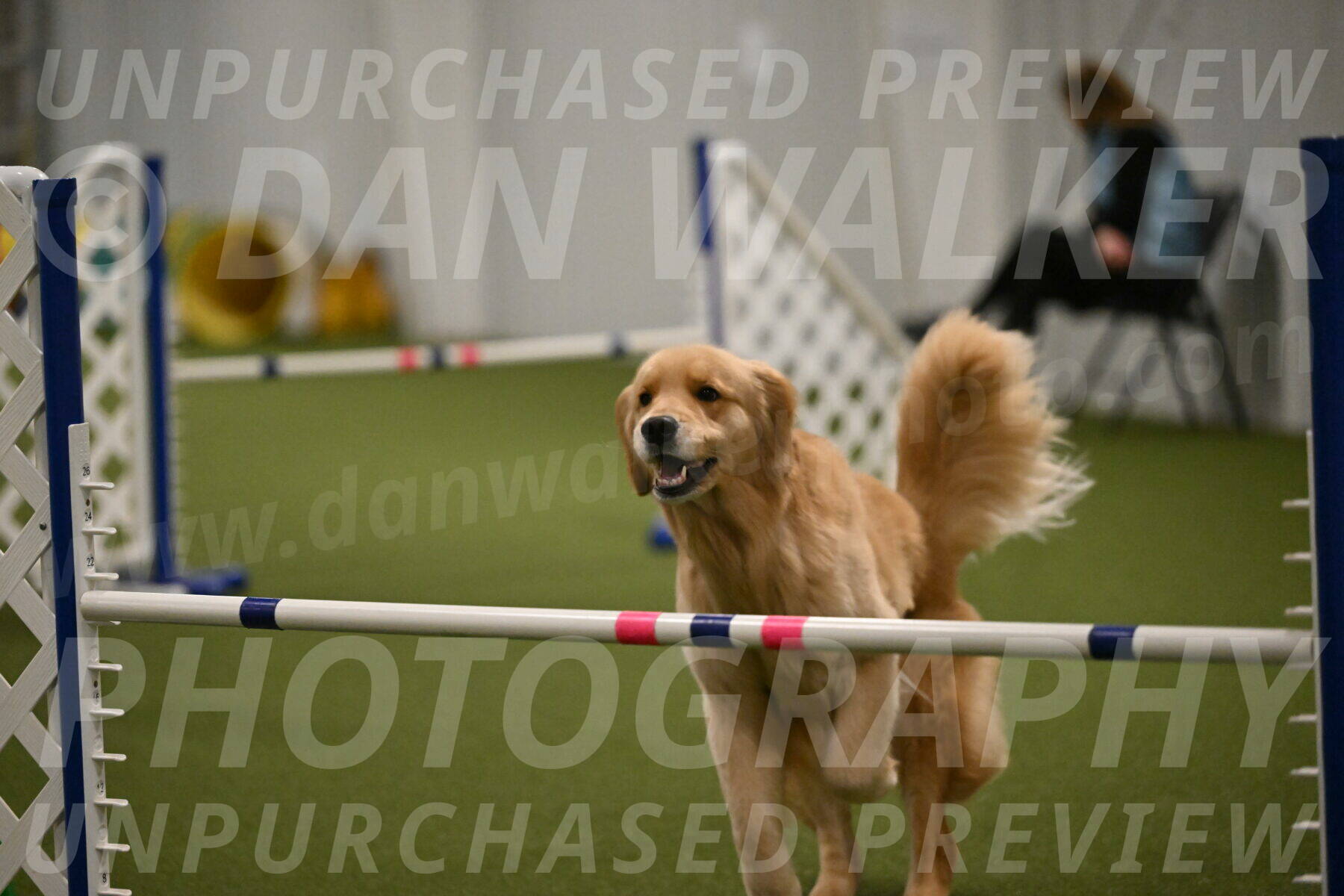 Kelly-Peggy-Abrams-06488