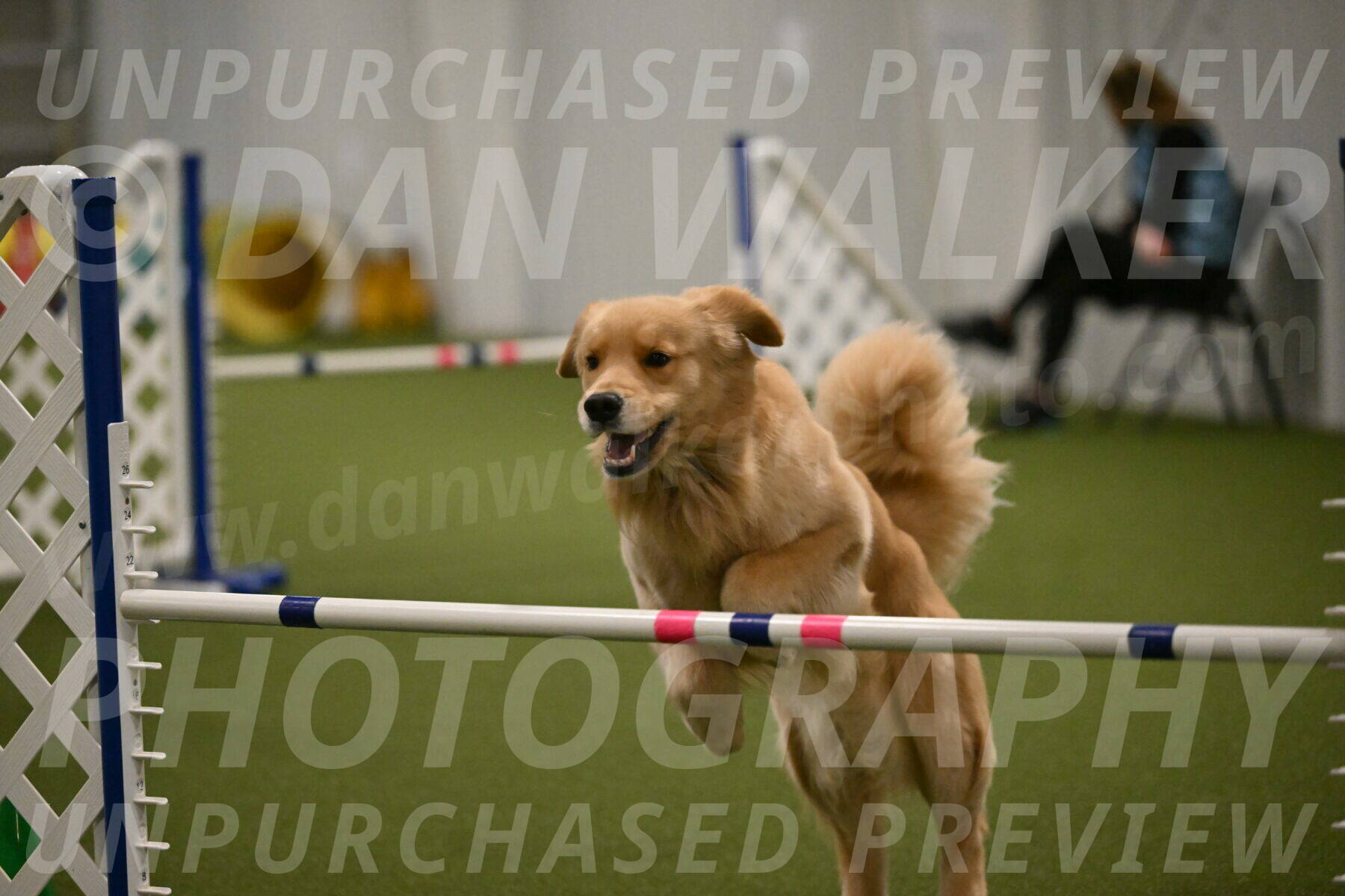 Kelly-Peggy-Abrams-06489